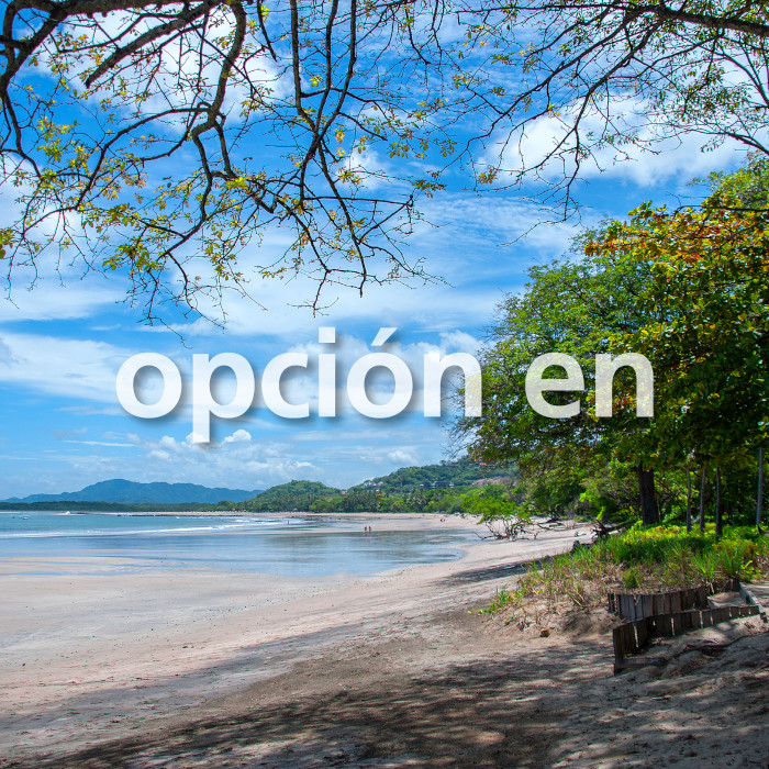 Opción en