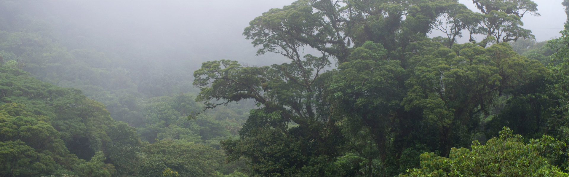 Sobre Costa Rica