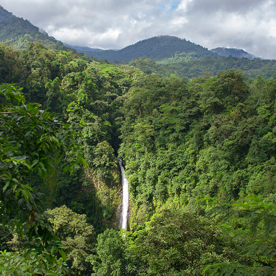 Itinerario: San José, Tortuguero, Arenal, Guanacaste